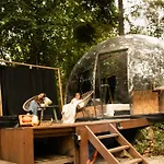 Dome Design By Out & * 쿠뱅