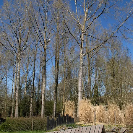 Dôme Design By Out&lodge Campismo de Luxo